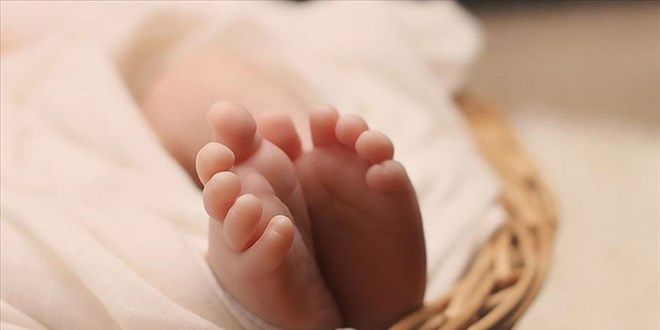 Yeni Nesil Azalıyor, Türkiye Yaşlanıyor