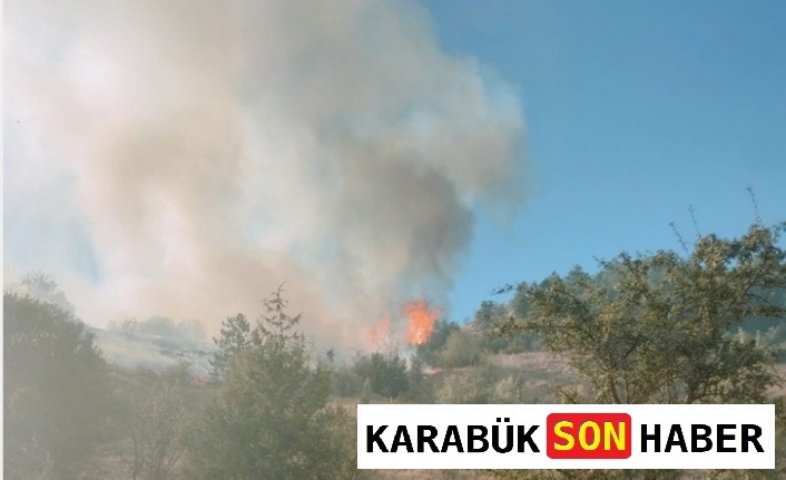 Ovacık’ta Orman Yangını Korkuttu: Havadan ve Karadan Müdahale!