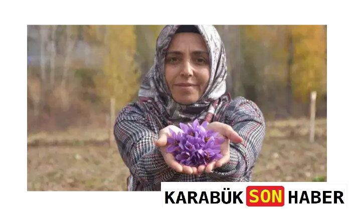 Sivaslı Kadın Girişimci, Eşinin Hastalığıyla Tanıdığı Safranı Toprakla Buluşturdu