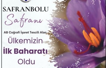 Safranbolu Safranı, AB’den Coğrafi İşaret Tescili Aldı.