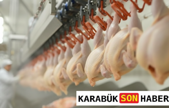 Sofraların Vazgeçilmezi Tavuk Üretiminde Hareketli Ay