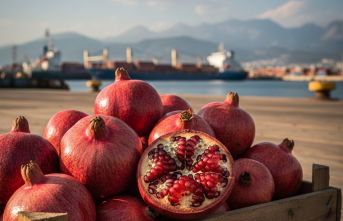 Türkiye'nin Nar İhracatında Rekor Artış: 2025 Yılı Verileri Açıklandı