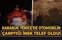 Yenice’de Otomobil Büyükbaş Hayvana Çarptı