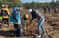Karabük İl Sağlık Müdürlüğü Ekipleri, Millî Ağaçlandırma Günü'nde Fidan Dikti