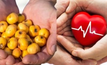 Kardiyolog Özcan Yücel’den “Alıç” Tavsiyesi