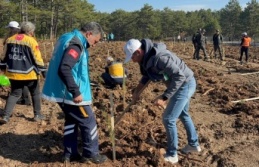 Karabük İl Sağlık Müdürlüğü Ekipleri, Millî...