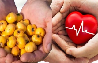 Kardiyolog Özcan Yücel’den “Alıç” Tavsiyesi