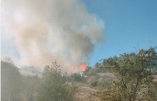 Ovacık’ta Orman Yangını Korkuttu: Havadan ve...
