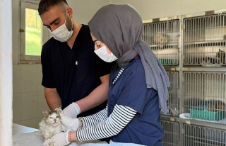 Karabük Can Dostlarına Modern Yaşam Alanı: Bölgenin...