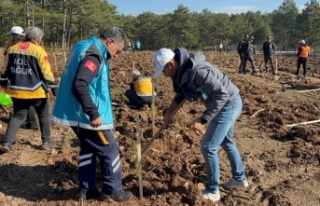 Karabük İl Sağlık Müdürlüğü Ekipleri, Millî...