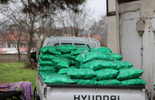 Bir kömür, bir yuva, bir kış: Safranbolu’da...