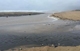 İstanbul'da Çevre Alarmı: İSKİ Arıtma Tesisi'nden...