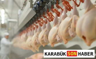 Sofraların Vazgeçilmezi Tavuk Üretiminde Hareketli Ay
