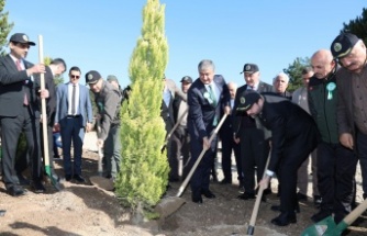 Karabük'te 20 Bin Fidan Toprakla Buluştu: Yeşil Vatan Seferberliği