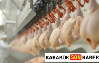 Sofraların Vazgeçilmezi Tavuk Üretiminde Hareketli Ay