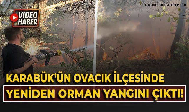 Ovacık’ta Orman Yangını Korkuttu: Havadan ve Karadan Müdahale!