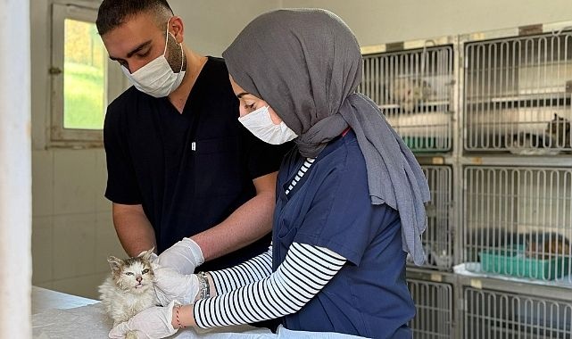 Karabük Can Dostlarına Modern Yaşam Alanı: Bölgenin En Büyük Bakımevi Hizmete Açıldı