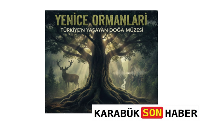 Türkiye'nin "Yasaklı" Kalesi mi? Yenice Ormanları'nın Ürkütücü Gerçekleri!