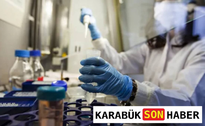 Meme Kanserinde Tedavi Yanıtını Öngören Yeni Kan Testi