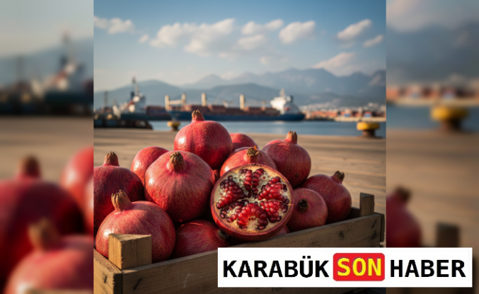 Türkiye'nin Nar İhracatında Rekor Artış: 2025 Yılı Verileri Açıklandı